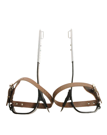 BUCKINGHAM TREE CLIMBER SET