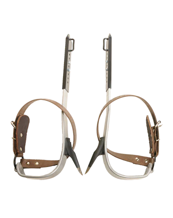 BUCKLITE TREE CLIMBER SET