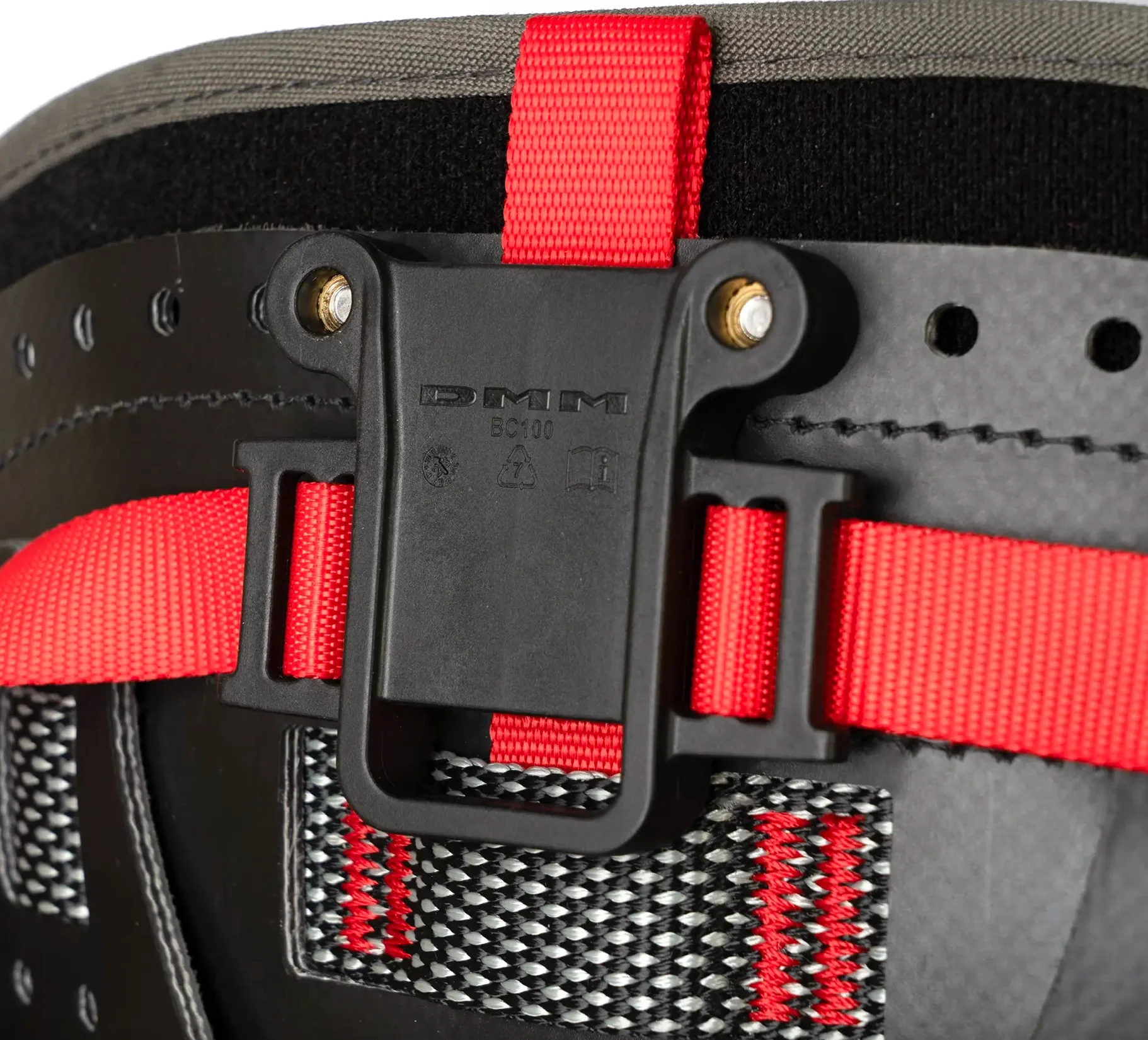 DMM Caiman - Image 2