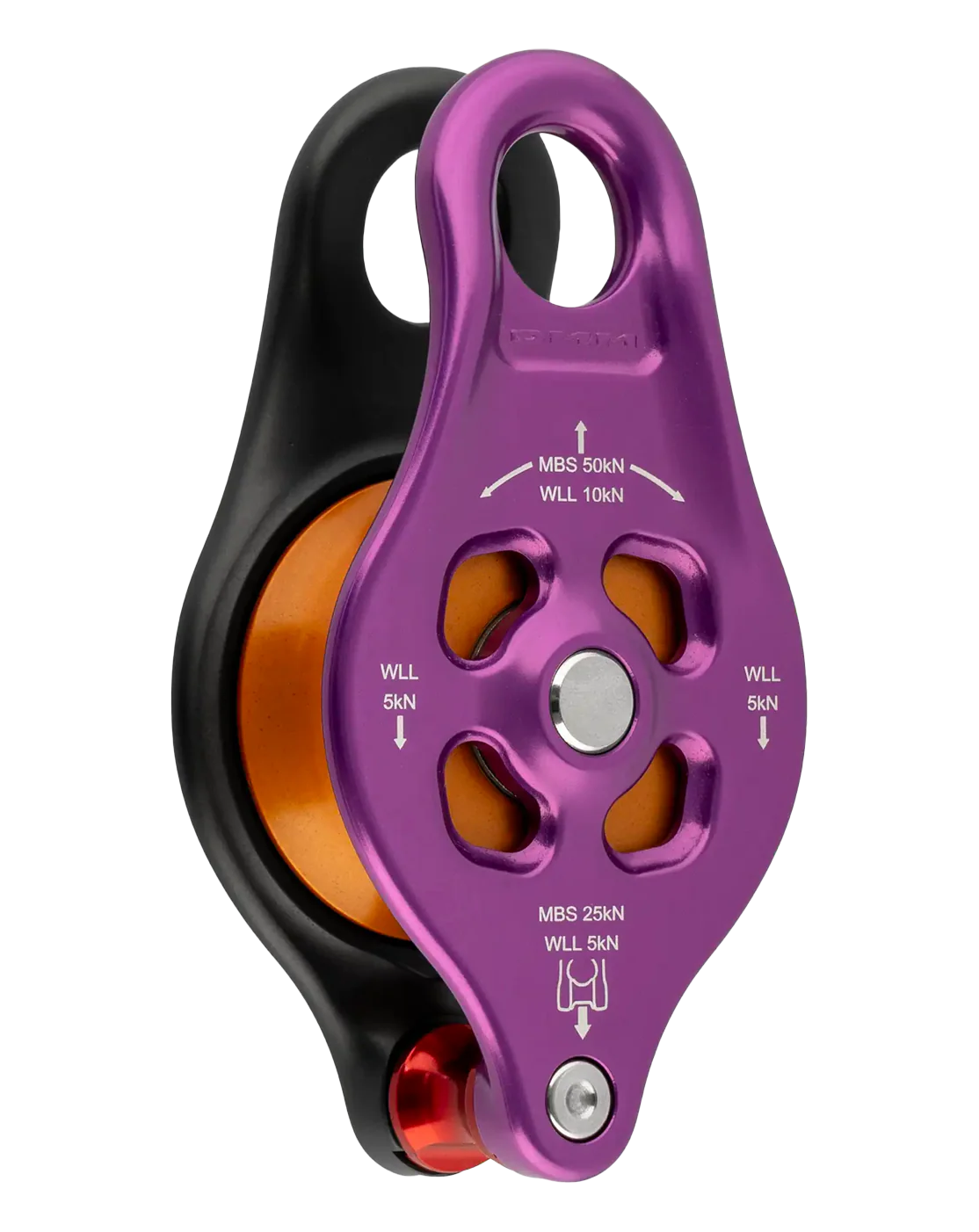 DMM Pinto Rig 2