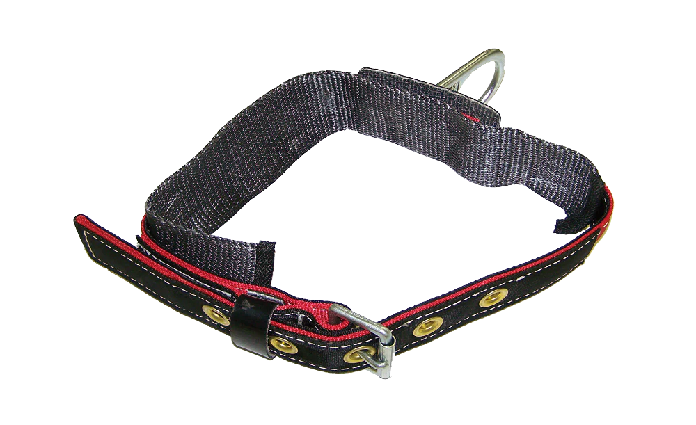 Body Belt