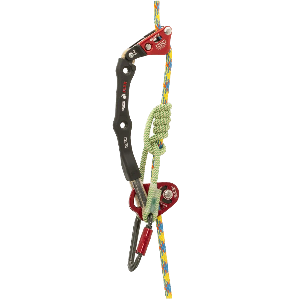ISC Apex System