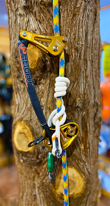 Stay Gold Ponyboy Kit - Image 2
