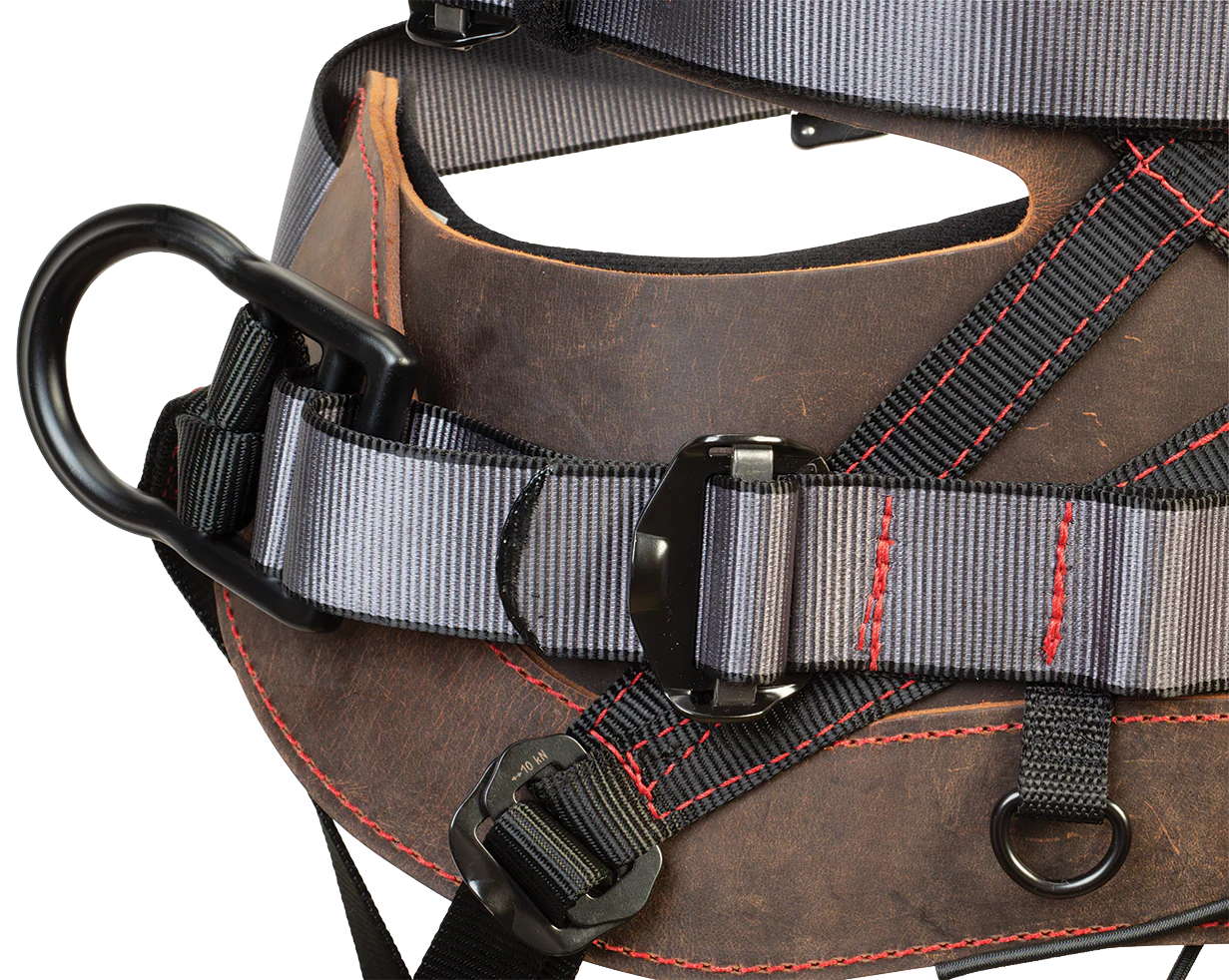 Weaver Denali Saddle - Image 3